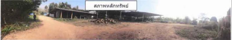 ที่ดินพร้อมสิ่งปลูกสร้างหลุดจำนอง ธ.ธนาคารกรุงไทย ลำปาง ห้างฉัตร หนองหล่ม