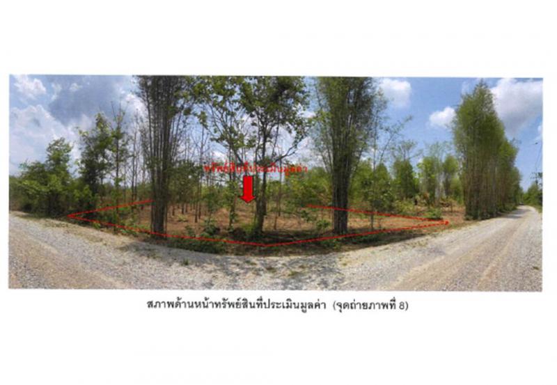 ที่ดินหลุดจำนอง ธ.ธนาคารออมสิน ลำปาง แม่ทะ ดอนไฟ
