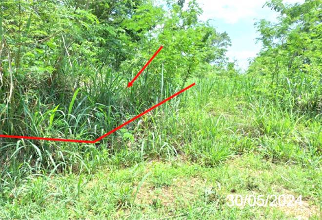 ที่ดินว่างเปล่าหลุดจำนอง ธ.ธนาคารกสิกรไทย ลำปาง เมืองลำปาง บ้านเสด็จ